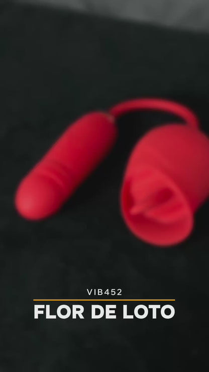 VIBRADOR ESTIMULANTE ROSA CON HUEVO DE EMPUJE RECARGABLE ROJO